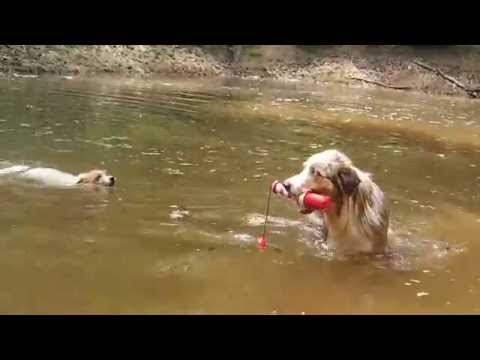 Die Wasserratten Nayla und Cimani