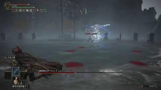 [ELDEN LING]#14.5 全ビルド制覇する
