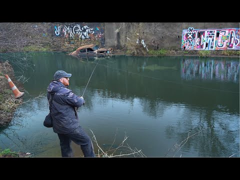 Stalling midt i byen