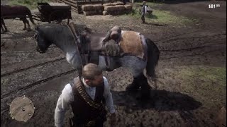 Red Dead redemption 2 how to sell Pelts and carcass