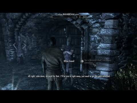SkyrimSE Passing the intimidation speech check with the Riften guard