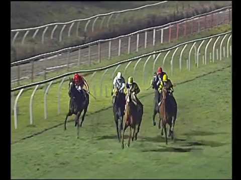 Galoppo 05/01/2017 - 5ª corsa