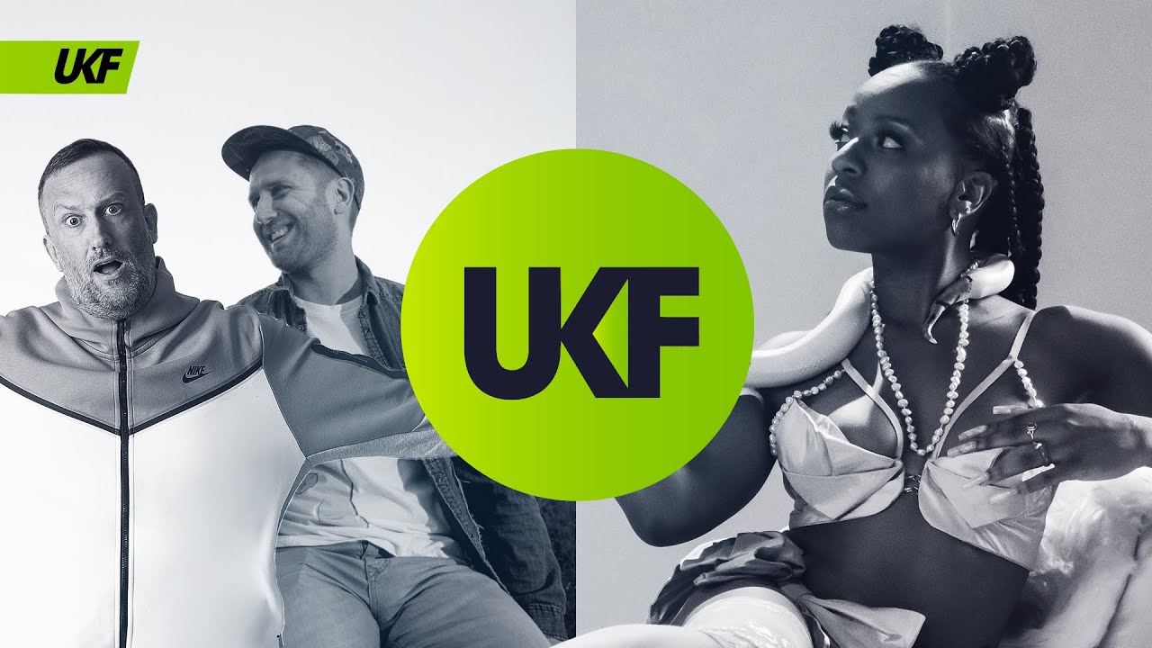 The Vanguard Project - Vows (ft. Catching Cairo) [UKF Release]