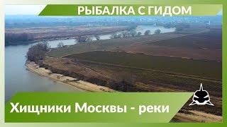 Отчет о рыбалки на москва реке