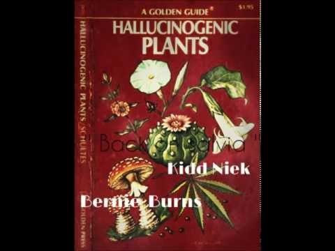 Kidd Niek Bernie Burn$ - Back on salvia (Prod. Tay Lewis)