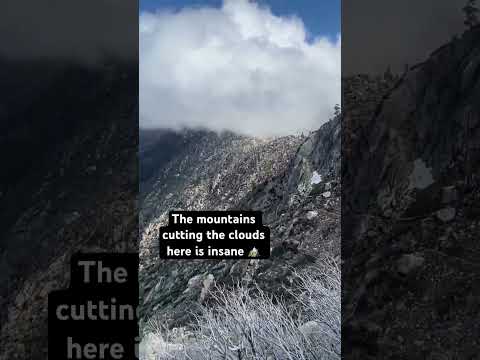 In the clouds on the Pacific Crest Trail🏔️