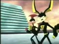 Kids Wb Bumpers 2006 2007
