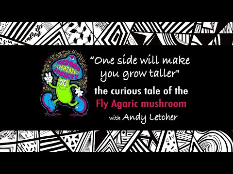 The Curious Tale of The Fly Agaric Mushroom (OPS Talk by Andy Letcher, 17/2/2021)