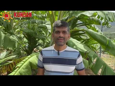 Client Testimonial 3