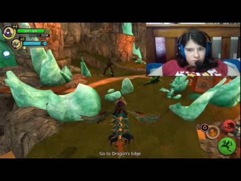 School of dragons live (w/ dog)