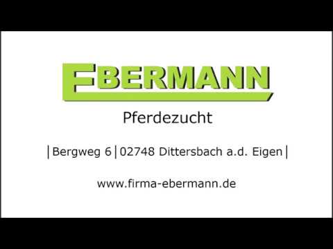 gekörter Hengst: Löwenberg von Lahnstein