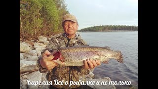 Лучшие реки для рыбалки в карелии