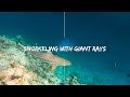 SAFARI ISLAND Maldives - Snorkeling with giant rays, Hai, Manta, Rochen, Hausriff, Safari Island (ex Mushimasgali, Dhoni Mighili), Malediven