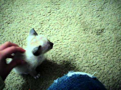 Rick and Leisha's Update