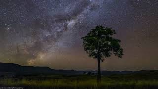 Mike WiLL Made-It - Heart of a Lion Ft. YG (Adidas Commerical )