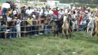 preview picture of video 'Rodeo  #3   en Ingenio Consuelo, San Pedro de Macoris (Montando Toro)'