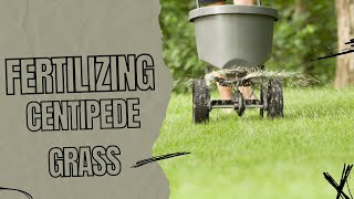 Caring for Centipede Grass: Fertilizing Tips