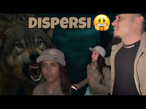 MISSING AT NIGHT AMONG WILD BOARS AND WILD ANIMALS (real)