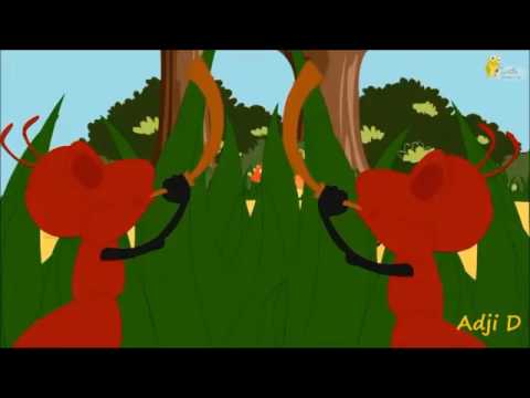 Semut semut kecil penyanyi : melisa