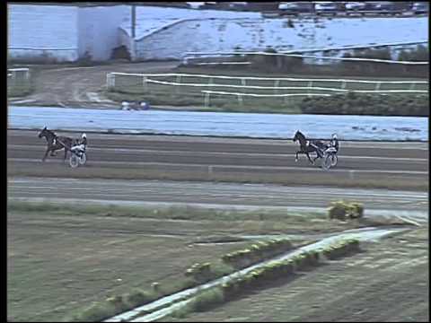 Trotto 14/06/2015 - 1° prova di riqualifica