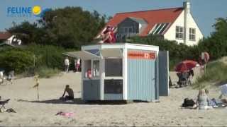 preview picture of video 'Ferienhäuser Hornbäk Gilleleje Dänemark - Feline Holidays'