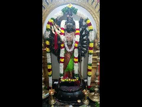 Sree Sarva Shakti Amman Alangkaram