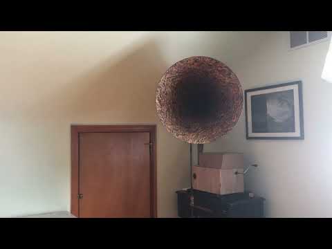 What!  No Spinach - Irving Aaronson and His Commanders - 1926