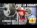 BACK TO 585 LBS SQUAT!! Squat, Back & Tricep Day | Powerlifting Prep Ep. 2
