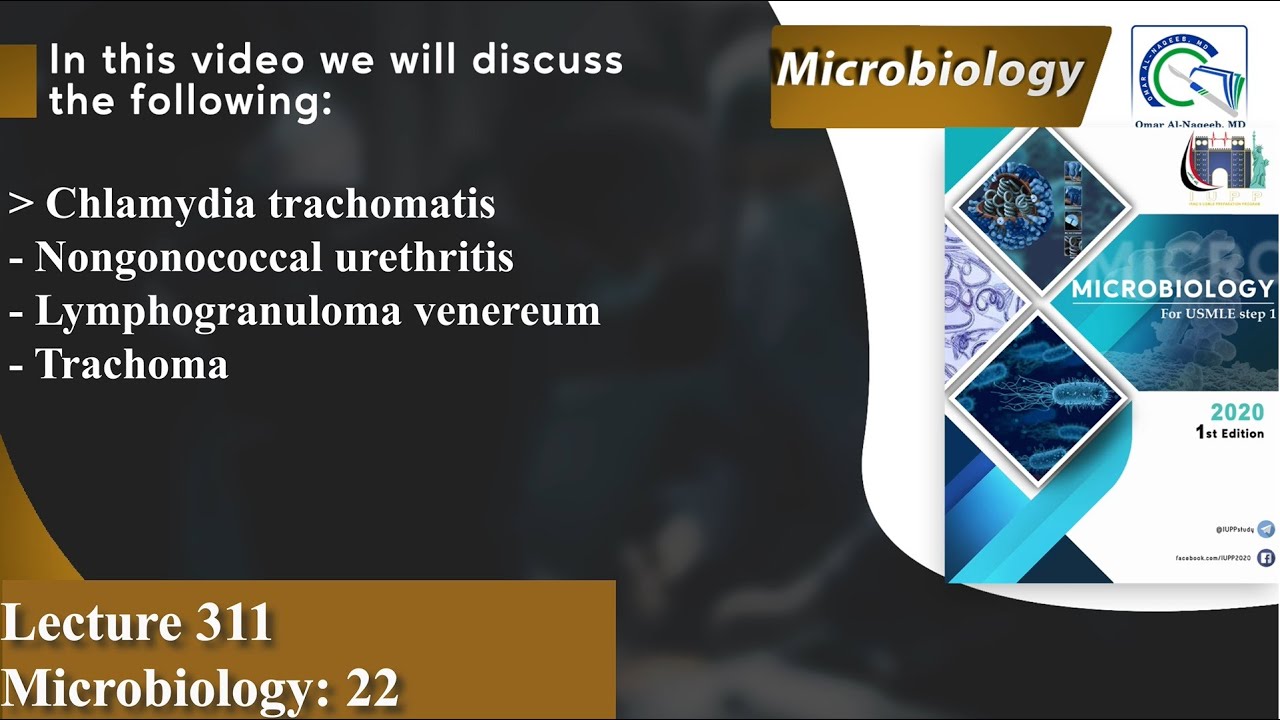 Chlamydia trachomatis | Nongonococcal urethritis | Lymphogranuloma venereum | Trachoma