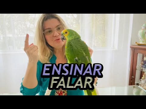 HOW TO MAKE YOUR PARROT TALK? - FUNNIEST TALKING PARROT!