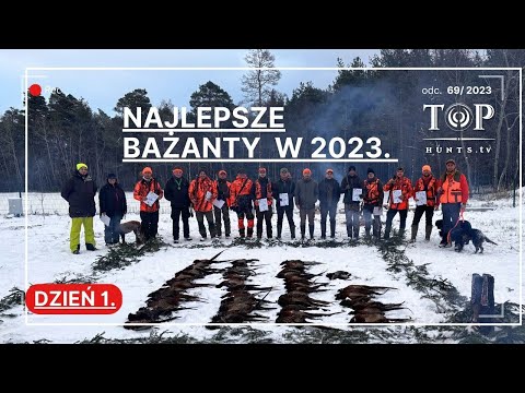 Najlepsze polowanie na bażanty w tym sezonie! Mnóstwo akcji spod psów!