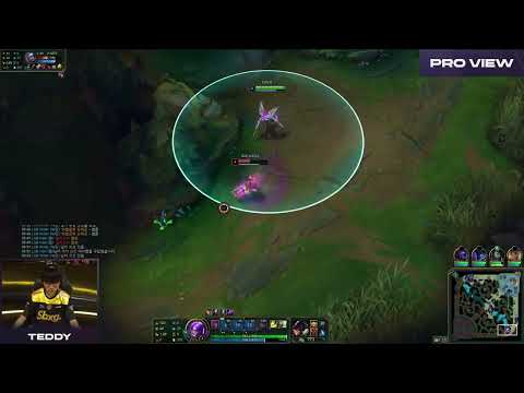 Teddy Pro View | KT vs LSB | 2023 LCK Summer Week 9 Day 5