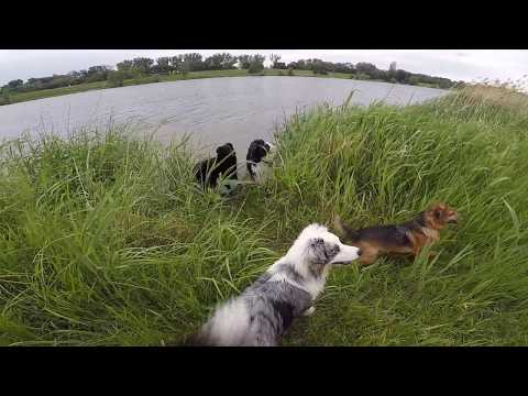 2017 05 25 inselgassi