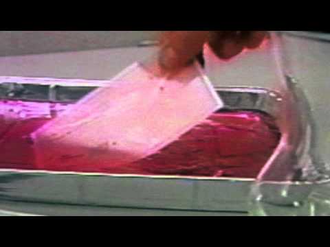 How a $2 Pen Can Help Protect You from Fraud