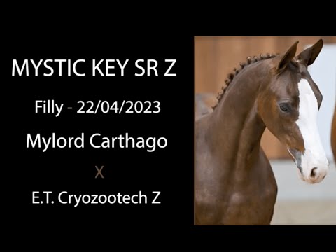 Mystic Key SR Z (Mylord Carthago x ET)