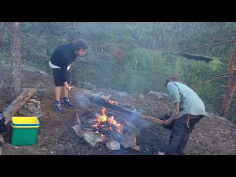 Rolando Simmons - A Bird is Flying