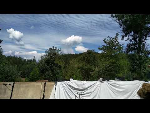 Zeitraffer von einer cumulus Wolke neben einer lenticularis Wolke