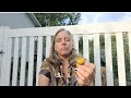 The Difference Between Peruvian Golden Berries And Groundcherries