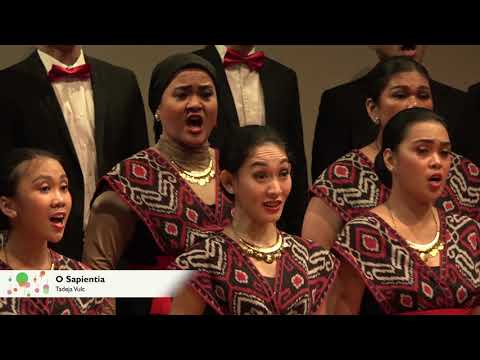 O SAPIENTIA - Tadeja Vulc