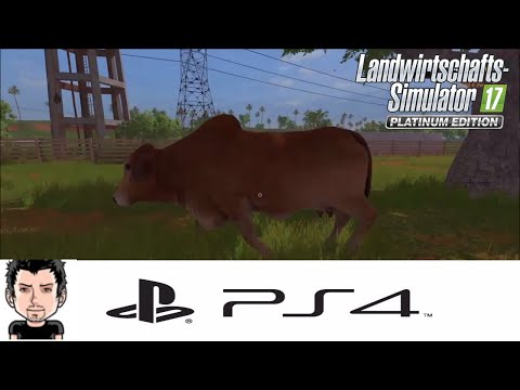 LS17 PS4 Platinum Edition Teil 5 Die erste Kuh
