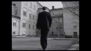 Shreadhead &quot;Dork&quot;