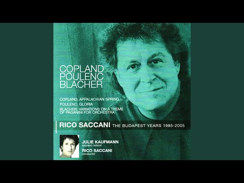 Gloria: Gloria: II. Laudamus Te