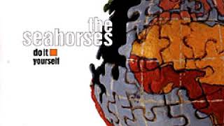The Seahorses - Hello.