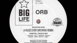 Orb - A Huge Ever Growing Remix. (Orbital Dance Mix)