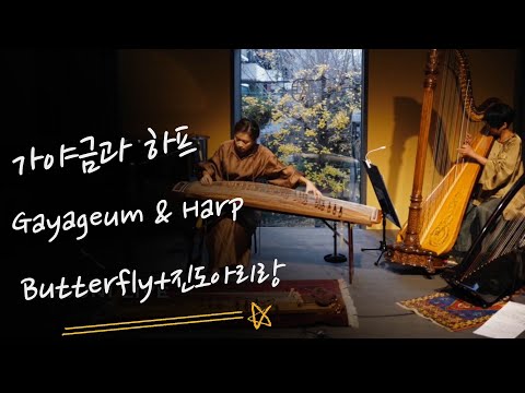 Butterfly + 진도아리랑  / 하프와 가야금 _ ( Gayageum ) JUBORA 주보라   & ( Harp ) HARPIST KIHWA 하피스트 기화  _ 하프연주