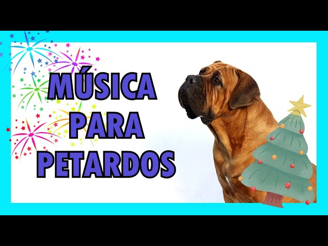 Vídeo relacionado con Navidades sin estrés: para perros y gatos con miedo a la pirotecnia