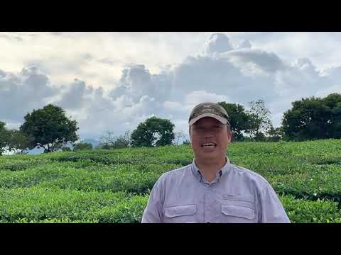 Turning stones into bread?