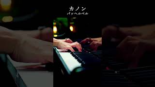 Download lagu カノン - Canon in D - クラシックピアノ - Classical Piano - CANACANA #shorts mp3