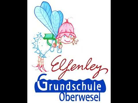 Nashorn Elefant und Krokodil