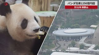 【速報】パンダ効果1250億円超 計31年、和歌山